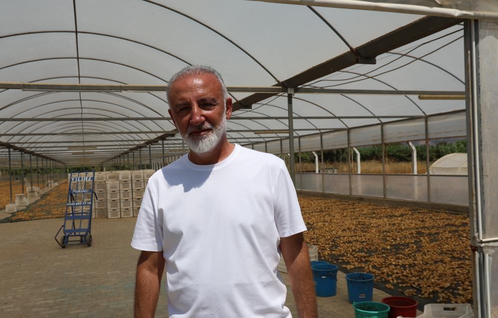 Aydın’da Kuru Incirde Kirli Oyun (4)