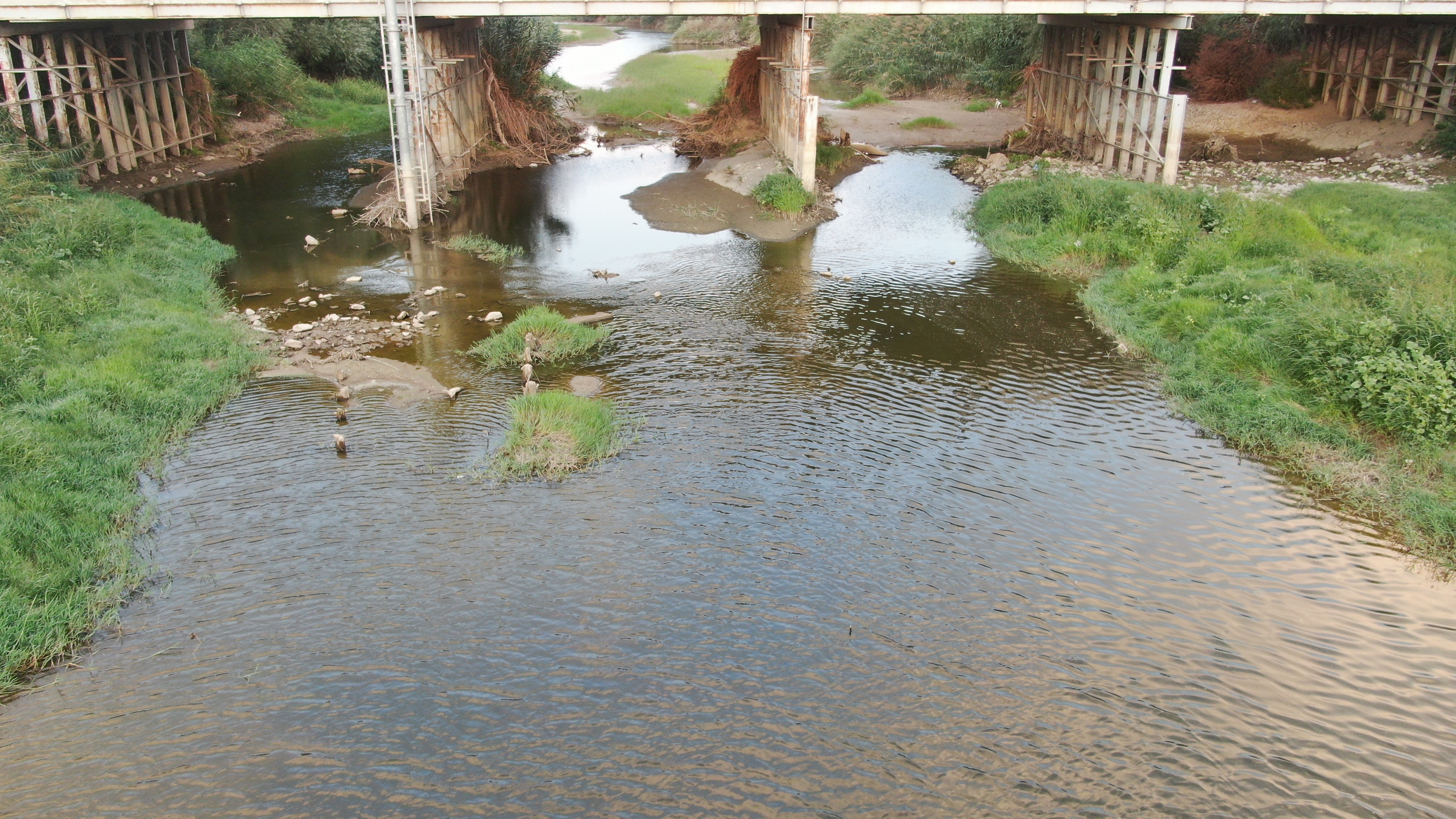 Aydın’da Menderes Nehri’nde Kötü Görüntüler (2)