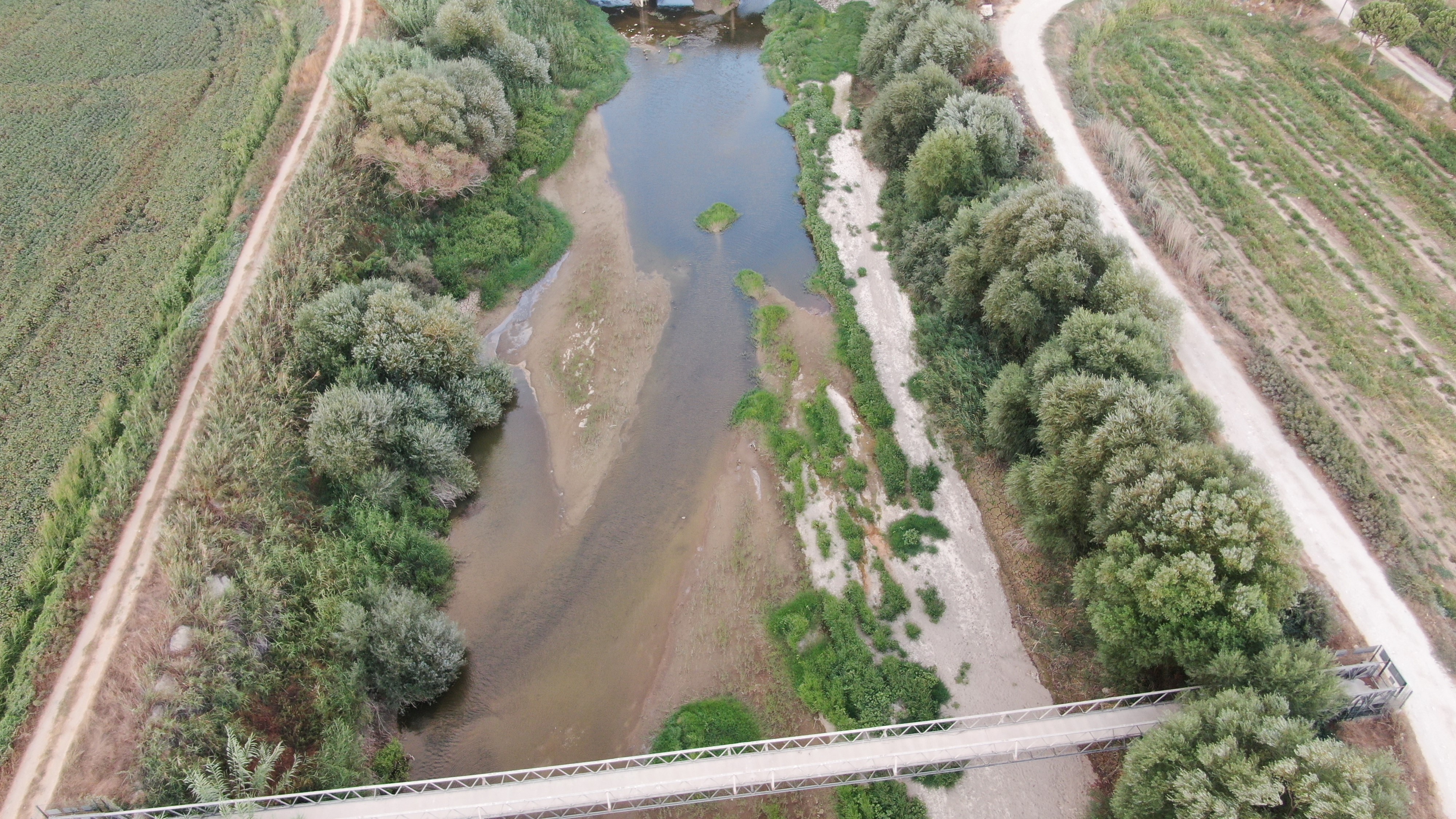 Aydın’da Menderes Nehri’nde Kötü Görüntüler (3)