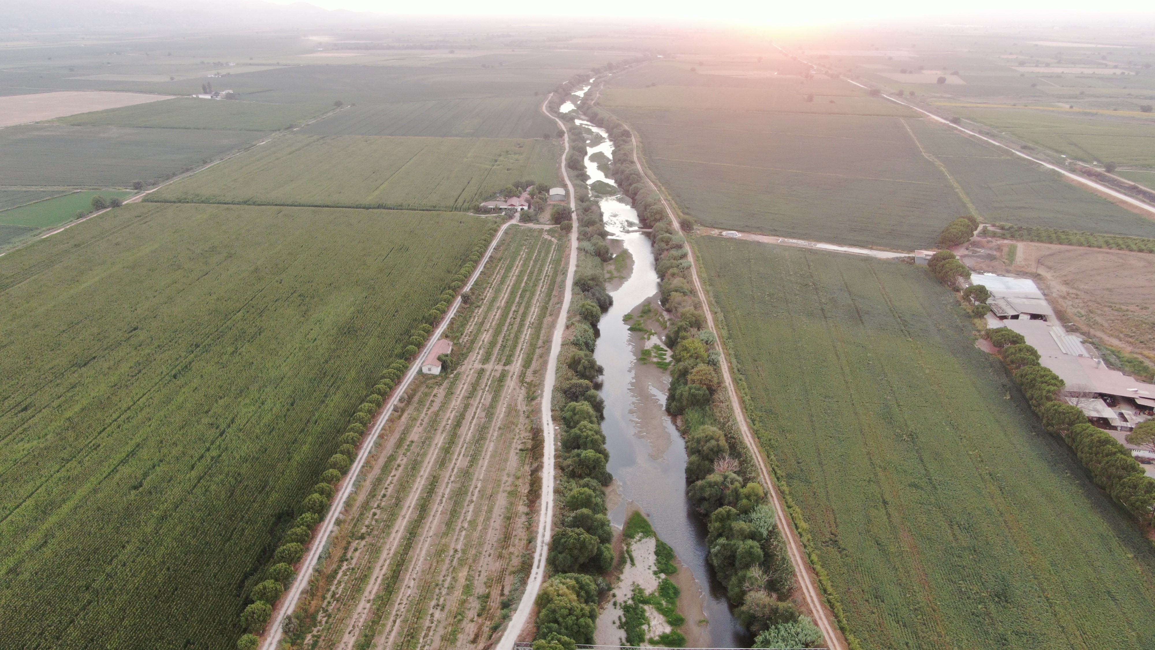 Aydın’da Menderes Nehri’nde Kötü Görüntüler