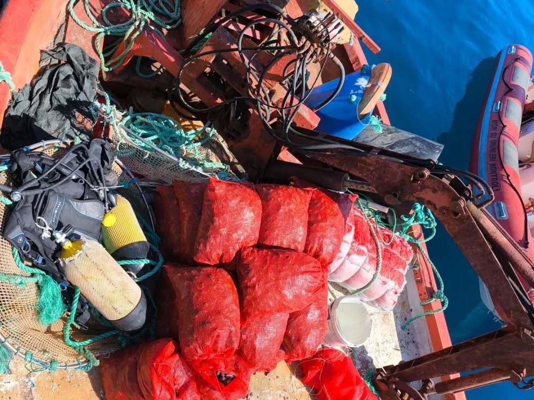 Aydın’da Midye Operasyonu (3)