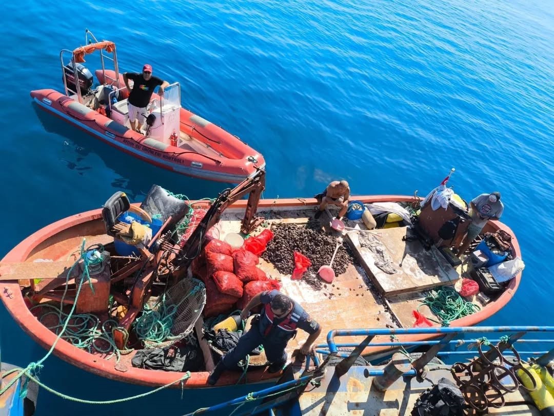 Aydın’da Midye Operasyonu