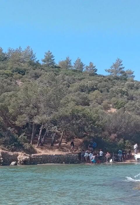 Aydın’da Ormanlık Alanda Kameraları Açtılar, Vatandaşlar Merakla Izledi (3)