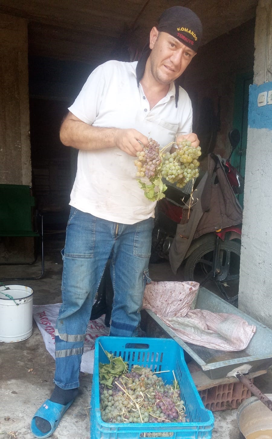 Aydın’da Pekmez Yapım Sezonu Başladı (2)