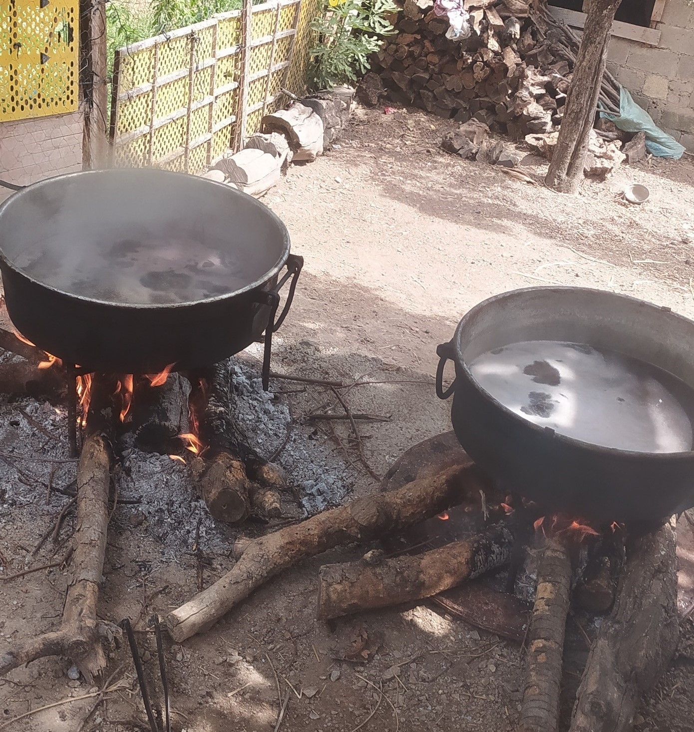 Aydın’da Pekmez Yapım Sezonu Başladı (6)