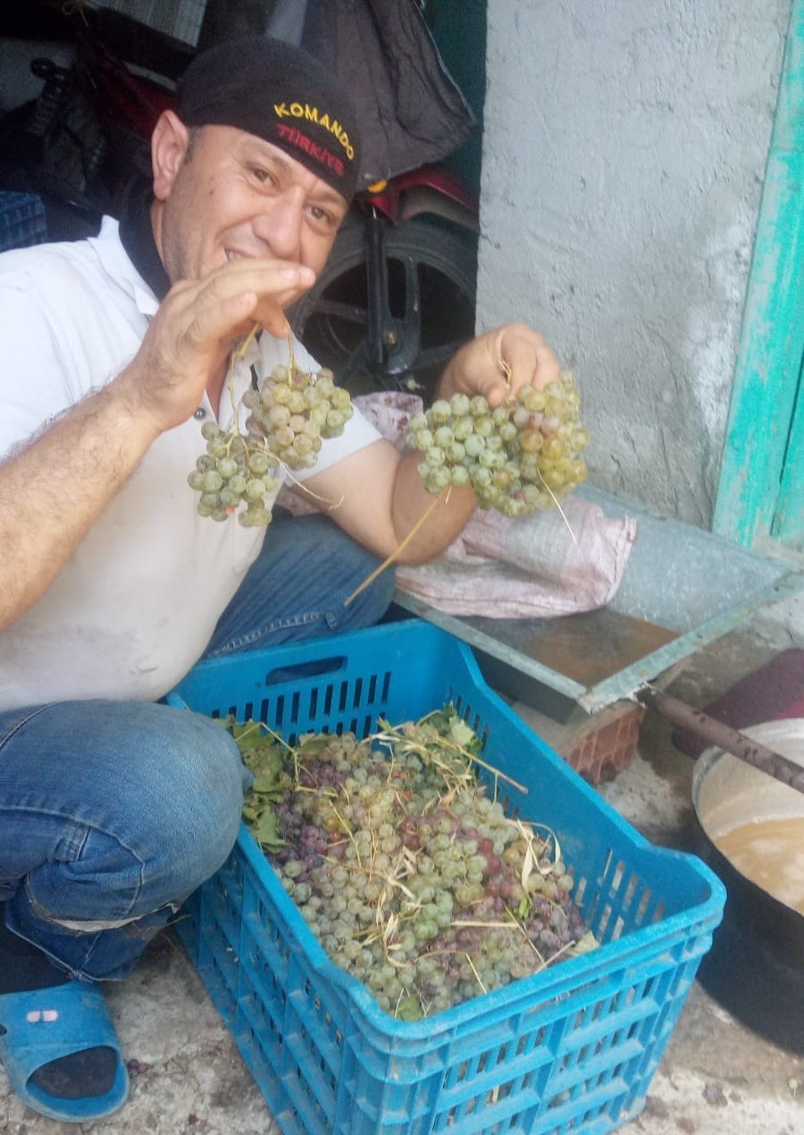 Aydın’da Pekmez Yapım Sezonu Başladı