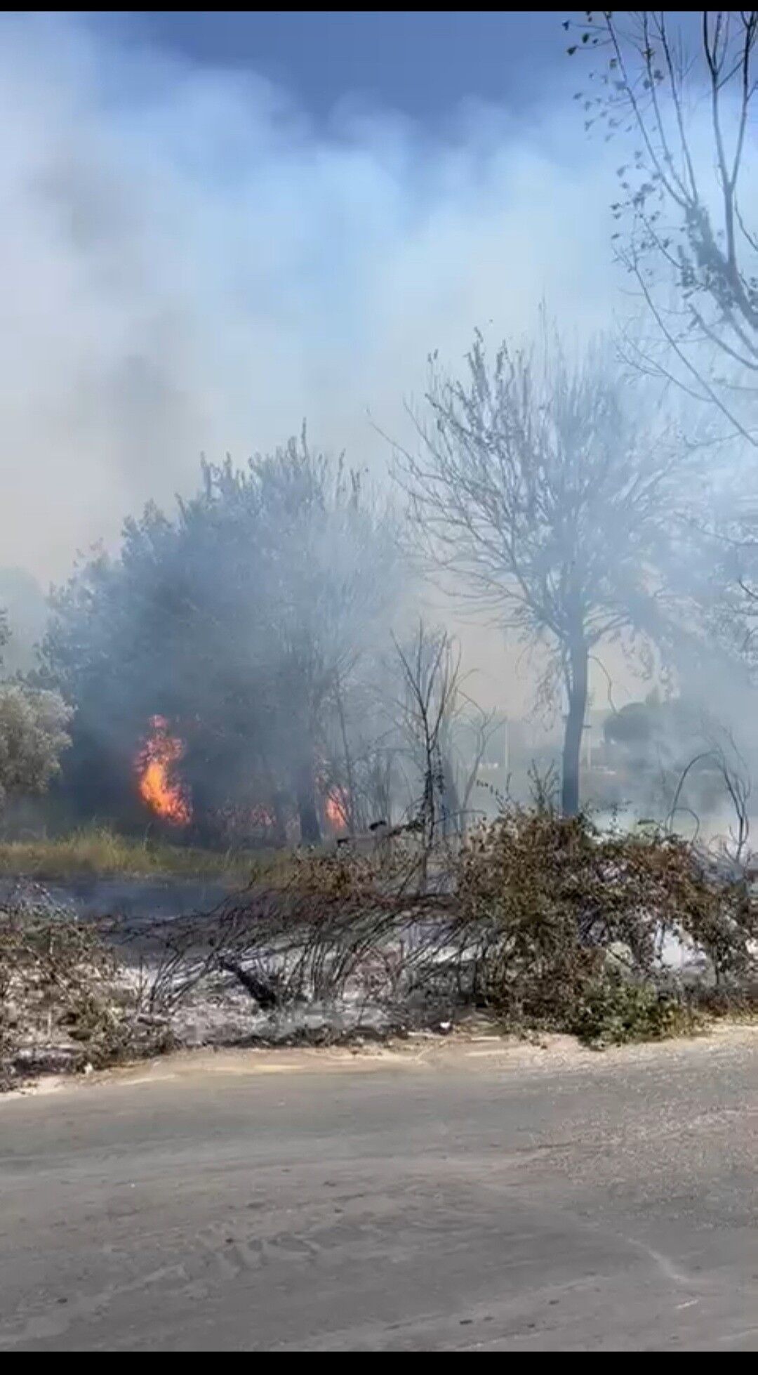 Aydın’da Yangın Çıktı, Ekipler Yetişti (4)
