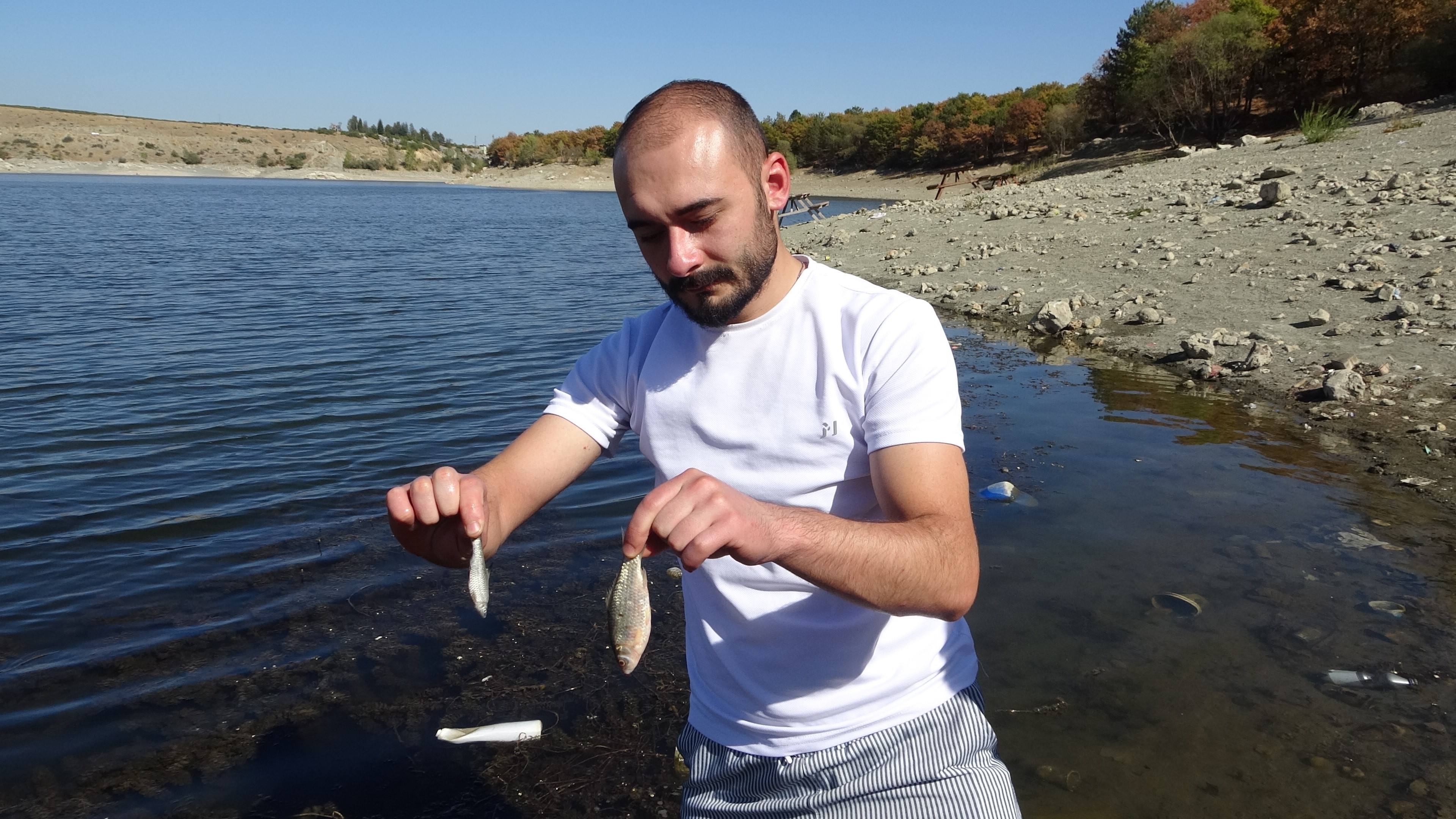 Balıklar Toplu Şekilde Öldü, Vatandaş Panikledi (5)