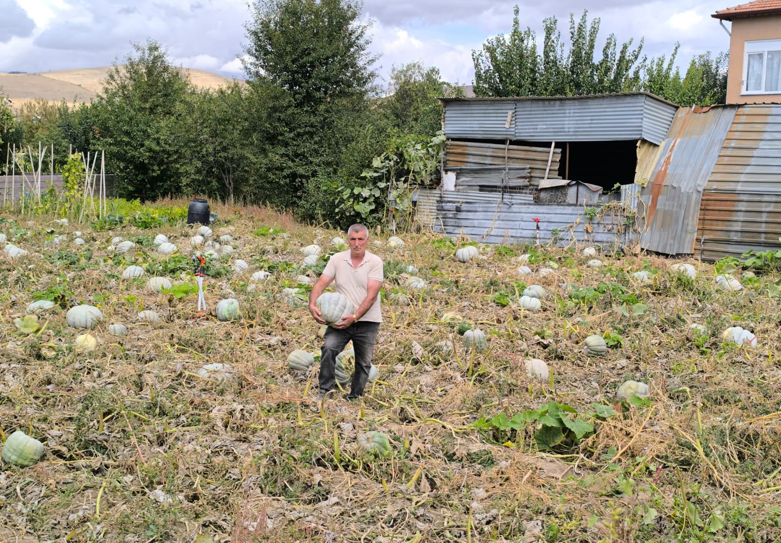 Balkabağında Fiyatlar Belli Oldu (3)