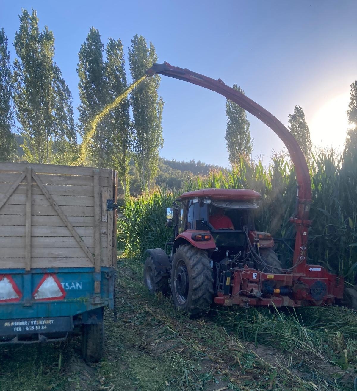 Besicilerin Telaşı Başladı (2)