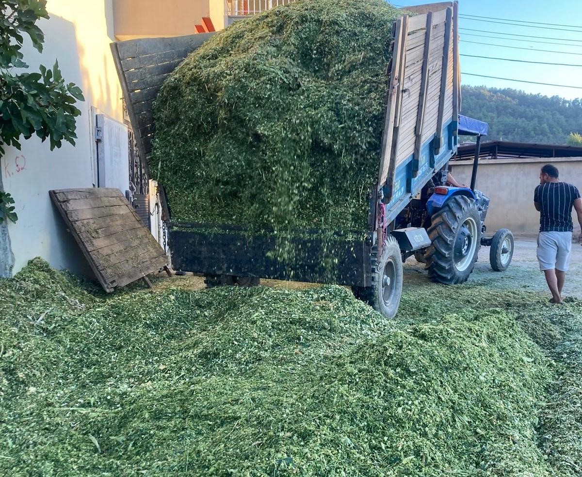 Besicilerin Telaşı Başladı