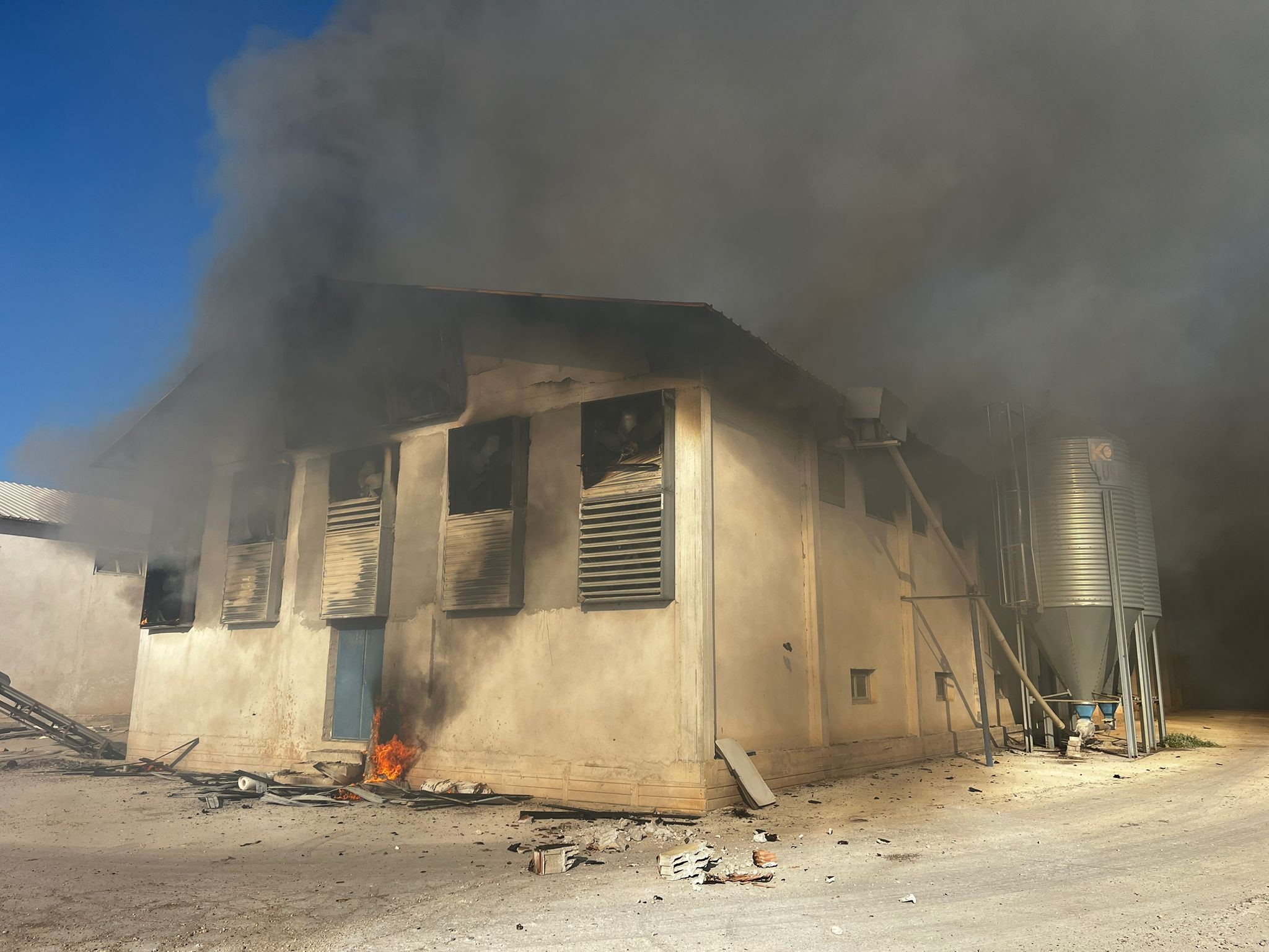 Binlerce Tavuk Telef Oldu (2)