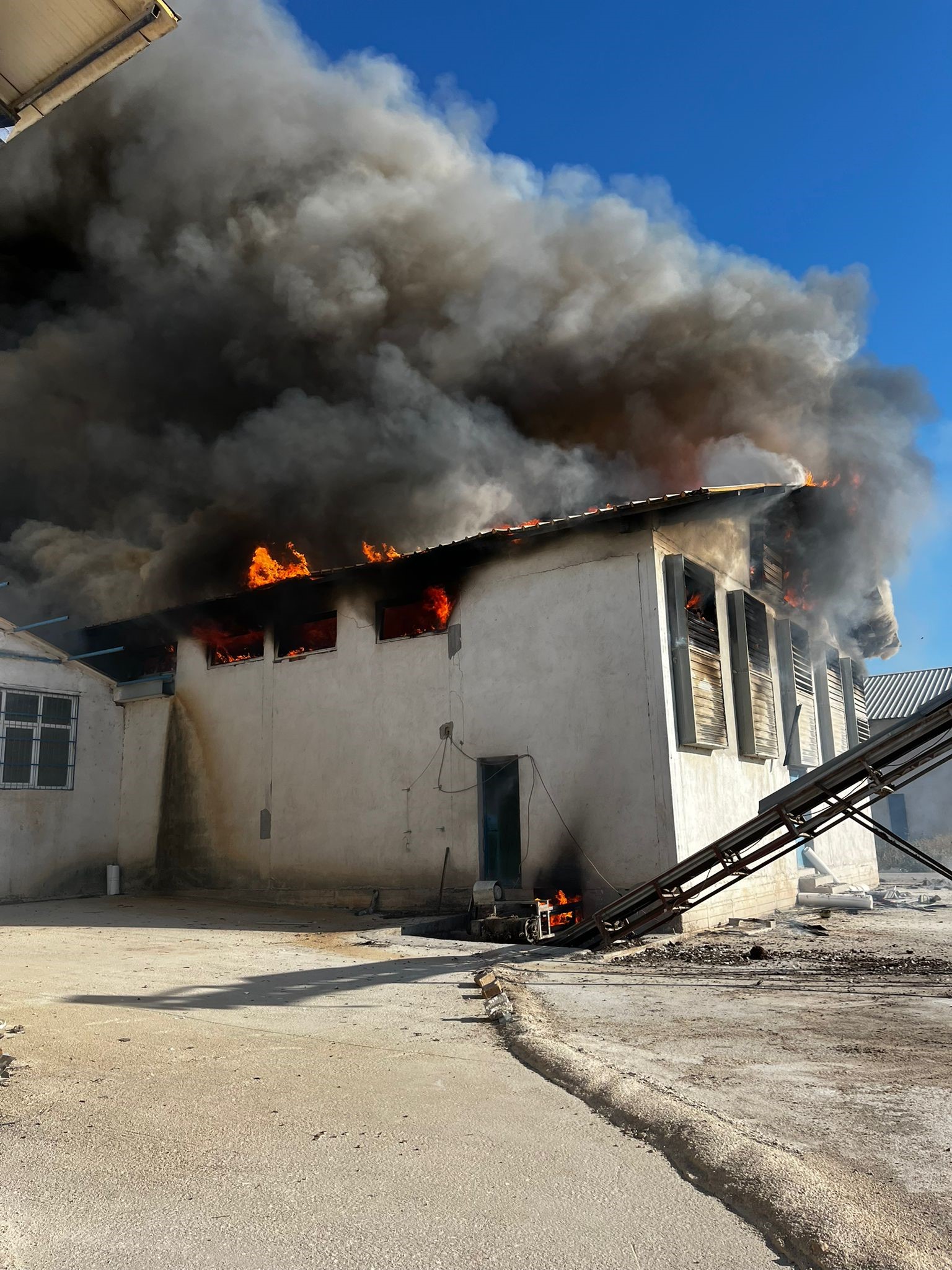 Binlerce Tavuk Telef Oldu