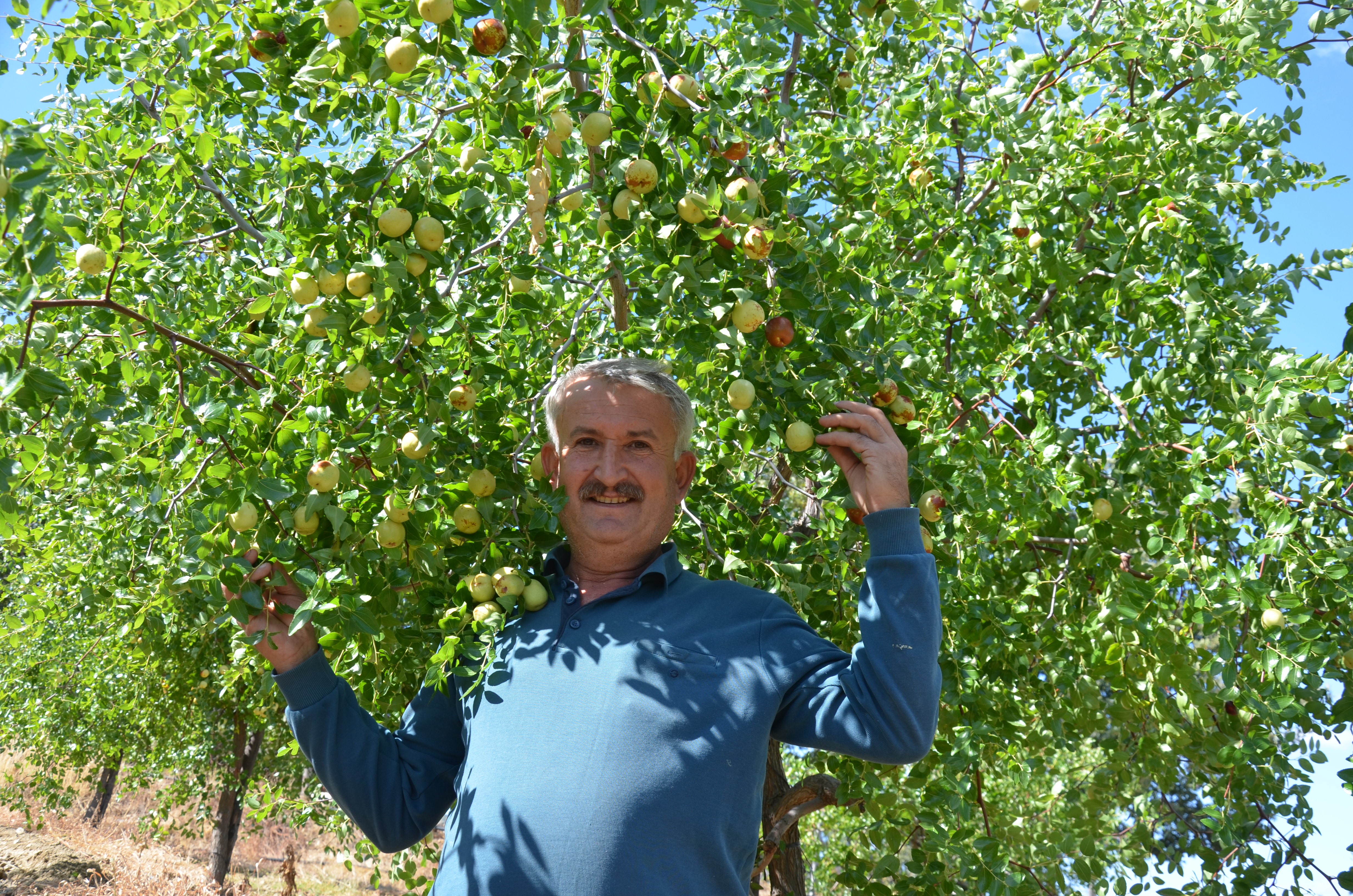 Bu Meyvenin Ne Olduğunu Biliyor Musunuz (6)