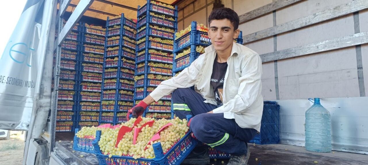 Burada Hayat Üzümle Dönüyor (3)