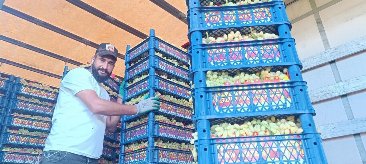 Burada Hayat Üzümle Dönüyor (4)