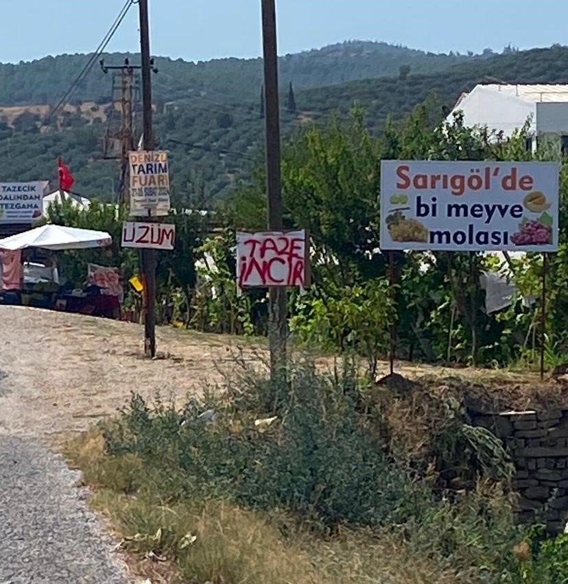 Burada Ürünleri Müşteriler Dalından Topluyor (3)