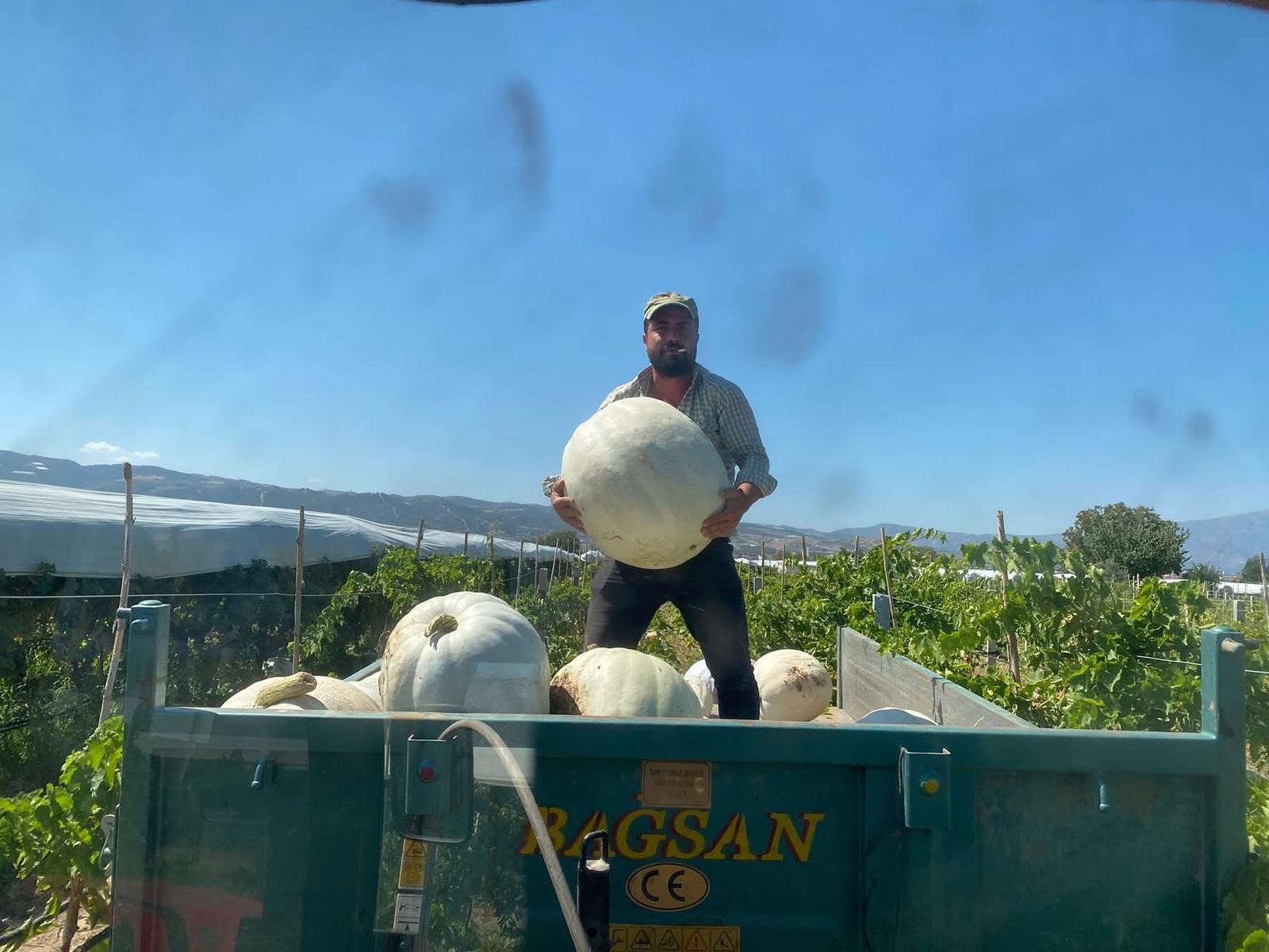 Burada Ürünleri Müşteriler Dalından Topluyor (6)