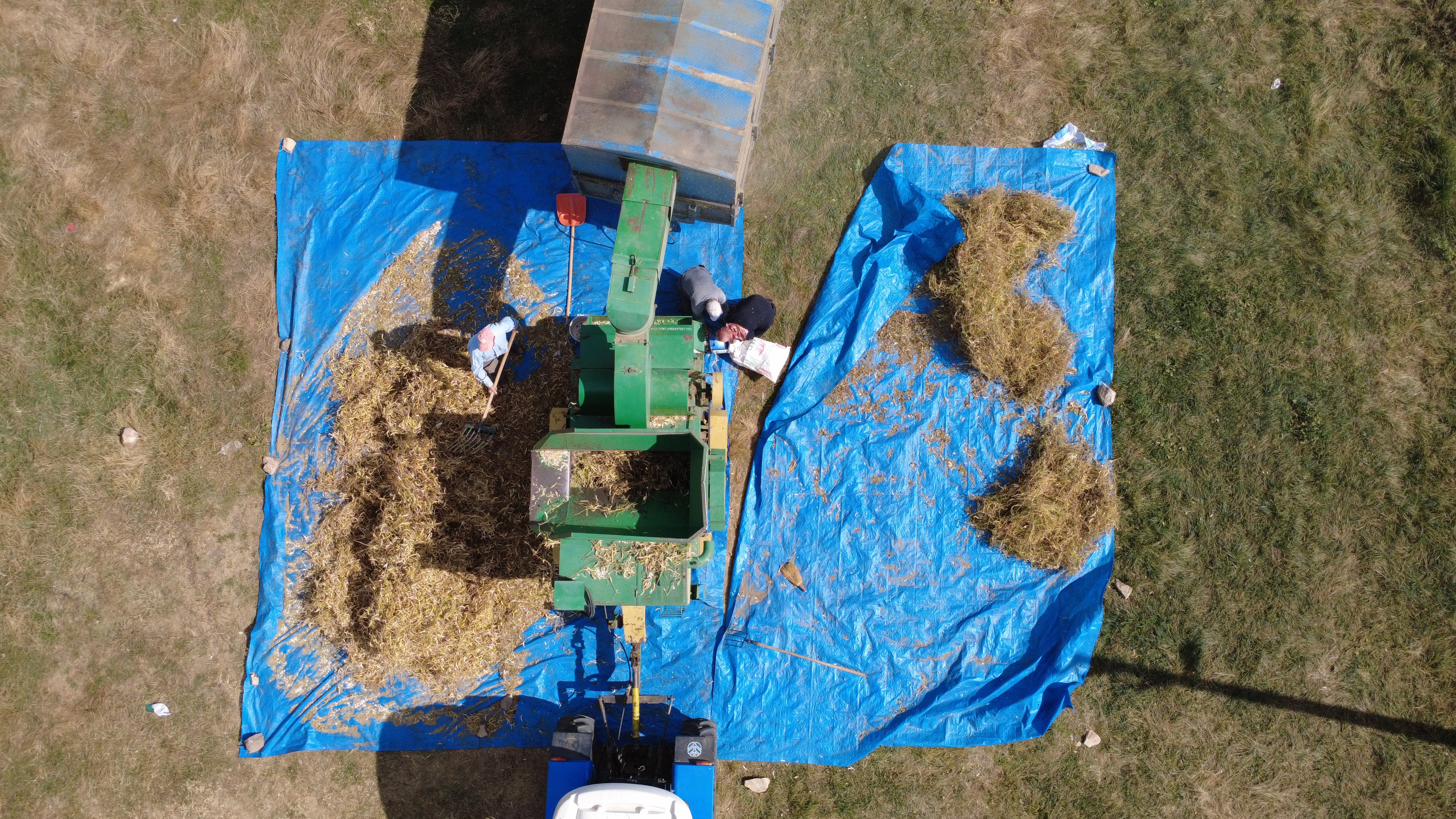 Burada Yetişen Kuru Fasulyede Zirai Ilaç Ve Su Kullanılmıyor (3)