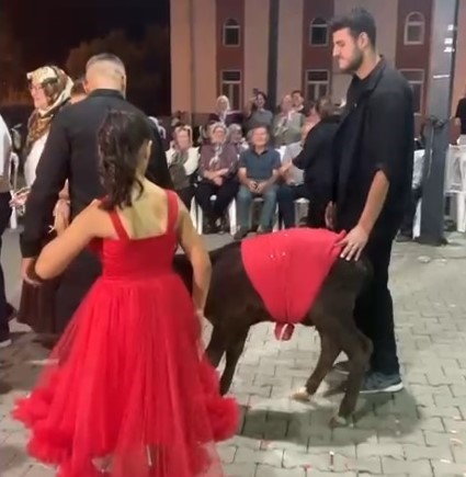 Damadın Eniştesinden Ilginç Düğün Hediyesi (2)