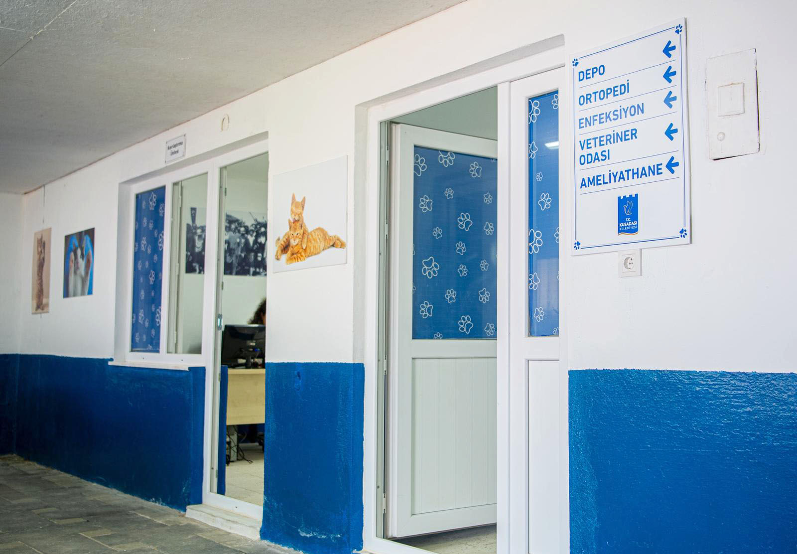 Davutlar Kedi Kisirlastirma (3)