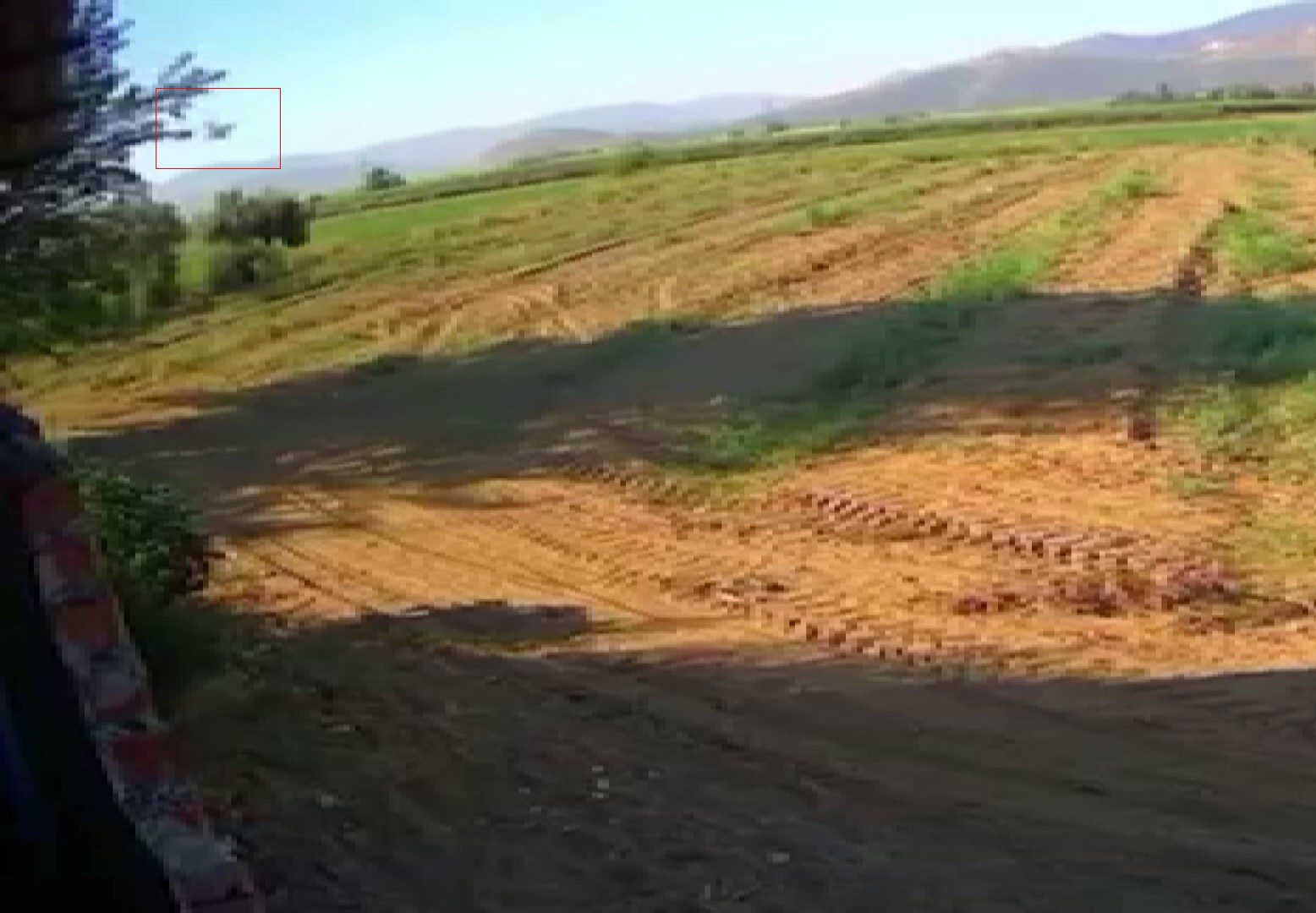 Eğitim Uçağı Kazasının Görüntüsü Ortaya Çıktı