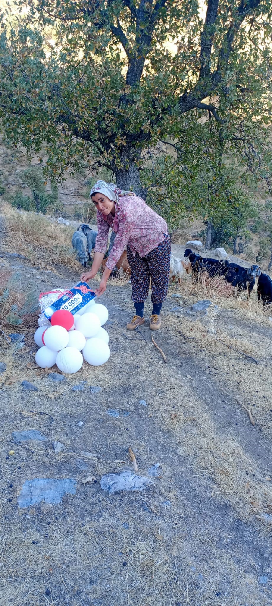 Germencik Belediyesi Tarafından Gerçekleştirilen 21. İncir Festivali Kapsamında Balon Ile Gökyüzüne Bırakılan 10 Bin Tl’lik Hediye Çeki Sahibini Buldu (2)