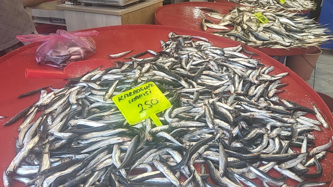 Hamsi Tezgaha Çıktı, Kilo Fiyatı Belli Oldu (4)