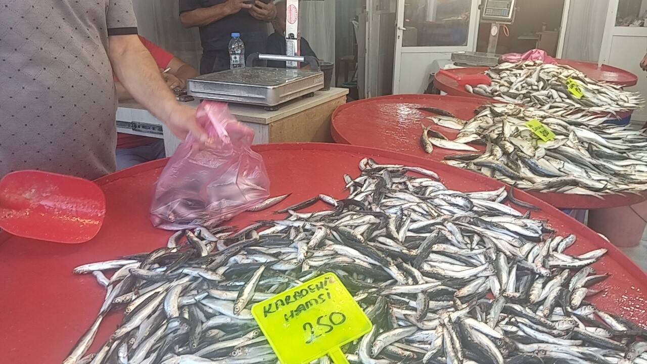 Hamsi Tezgaha Çıktı, Kilo Fiyatı Belli Oldu (5)