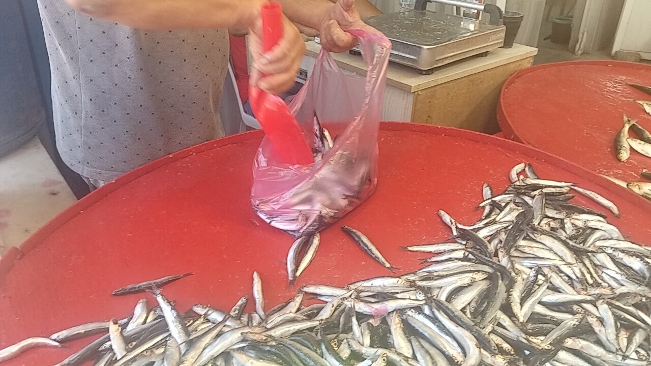 Hamsi Tezgaha Çıktı, Kilo Fiyatı Belli Oldu (6)