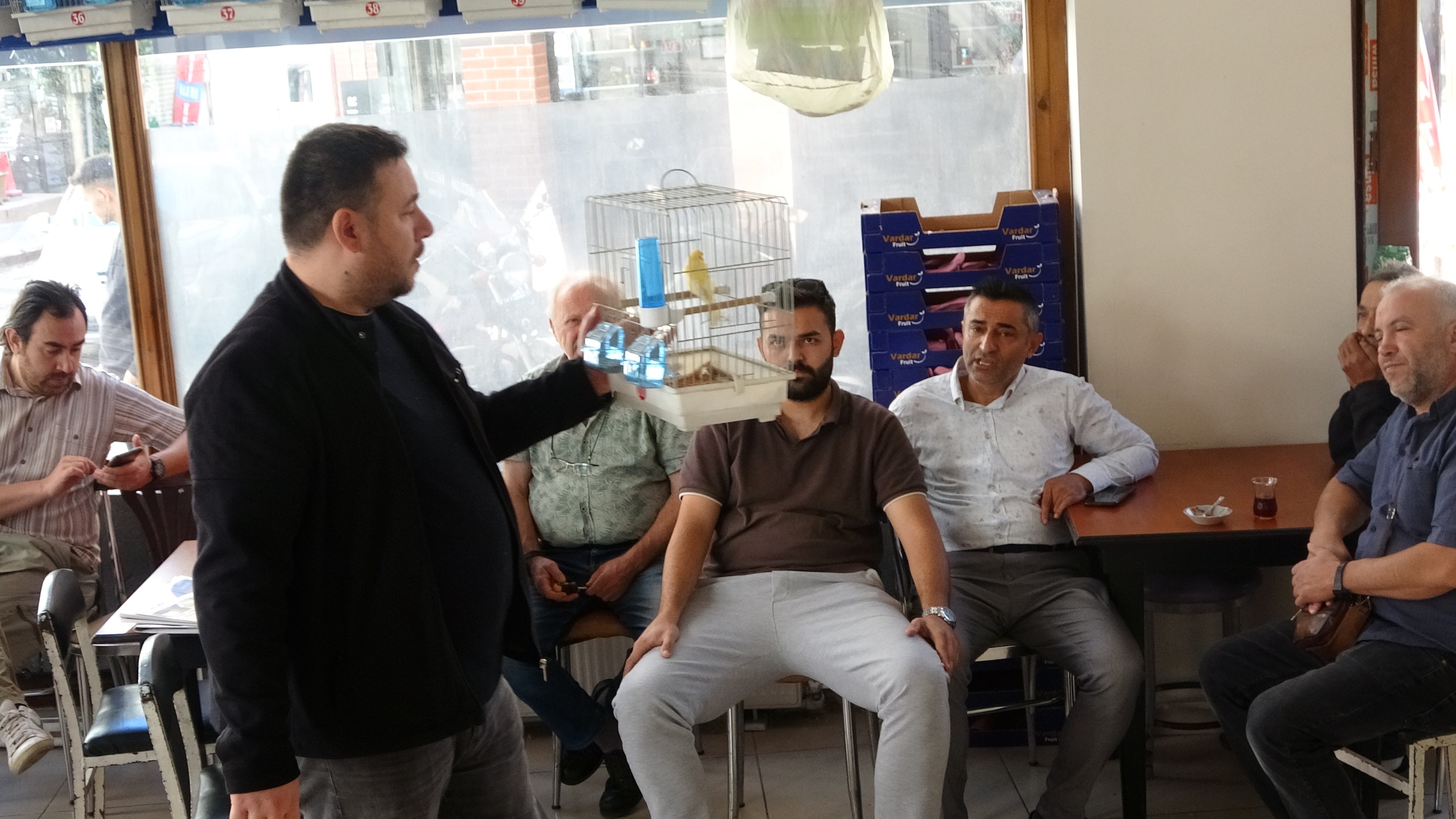 Kanaryalar Satışa Çıktı (2)