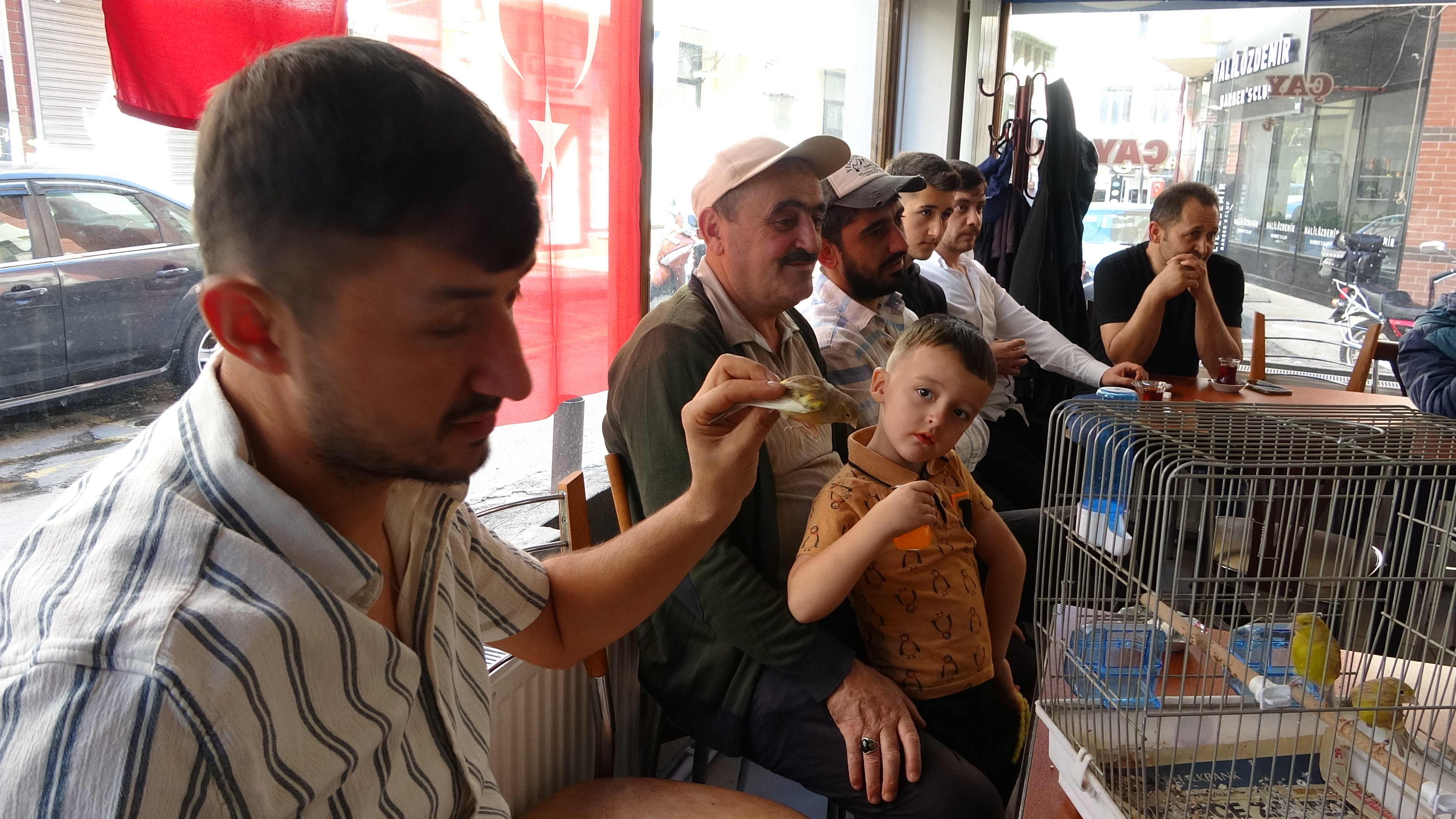 Kanaryalar Satışa Çıktı (5)