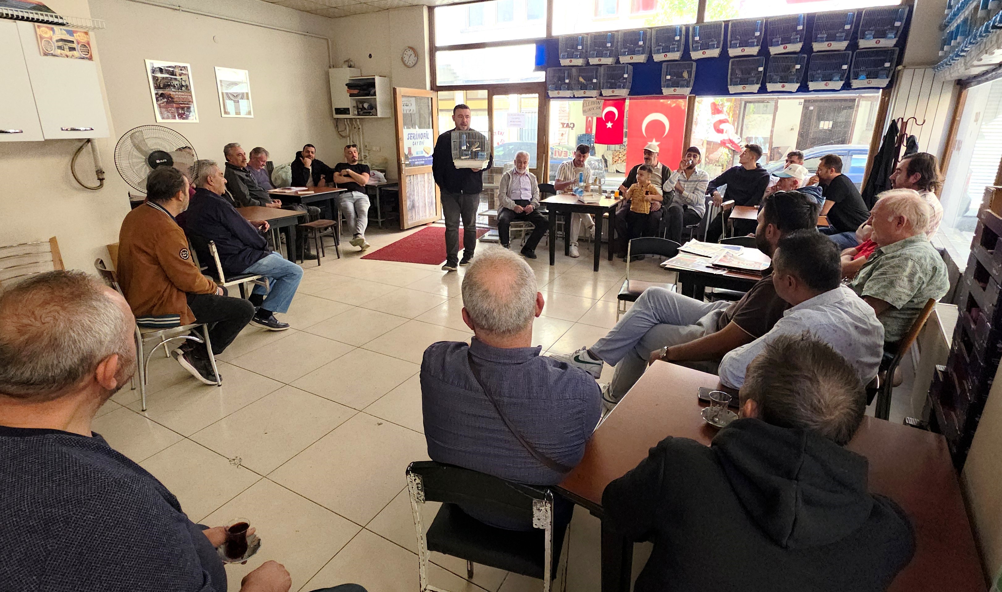 Kanaryalar Satışa Çıktı