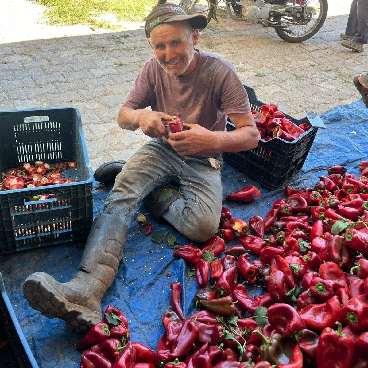 Kapya Biberler Kızardı (5)