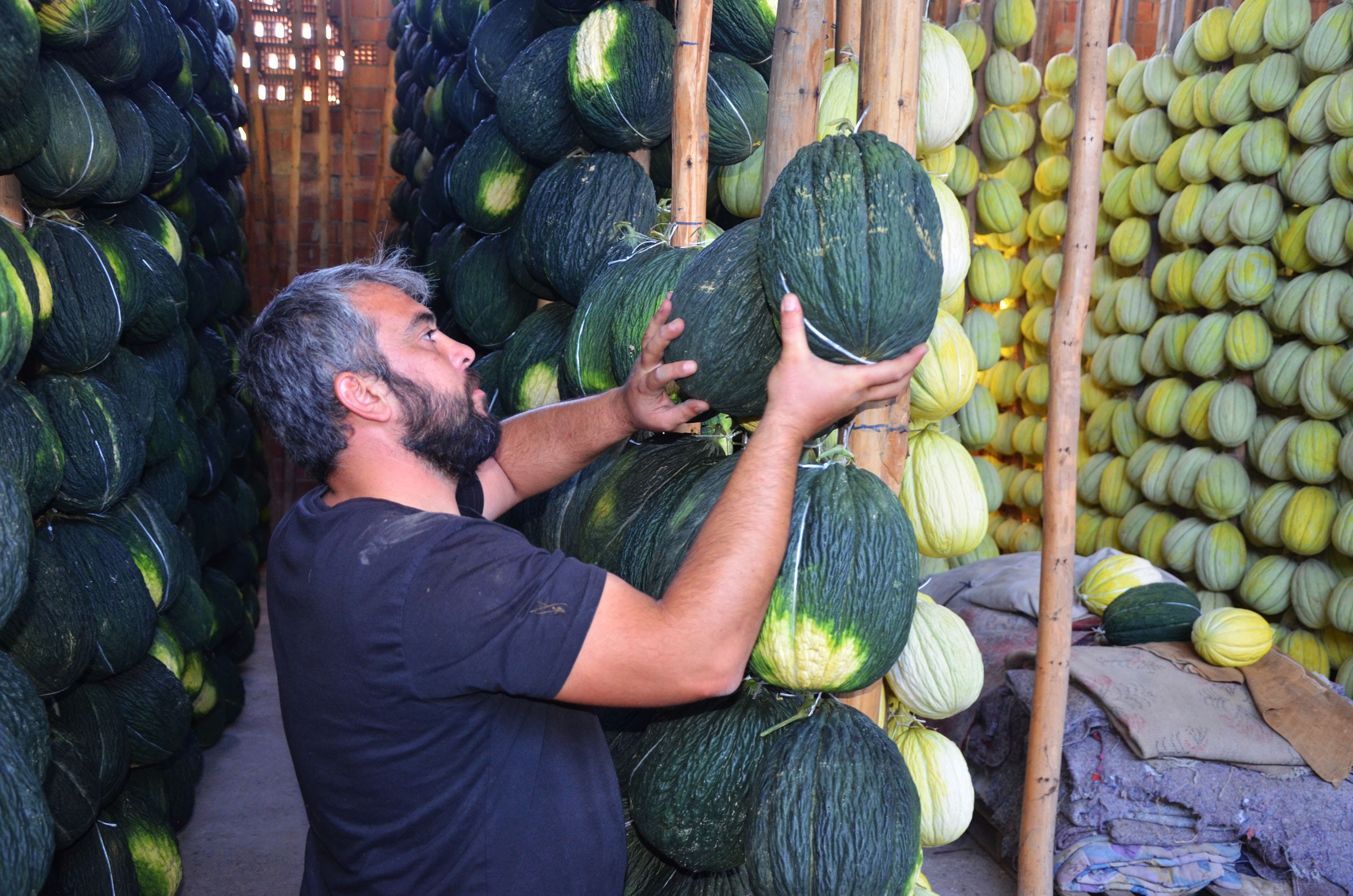 Klimalı Ve Ozon Makineli Depolarda Bekletiliyor (3)