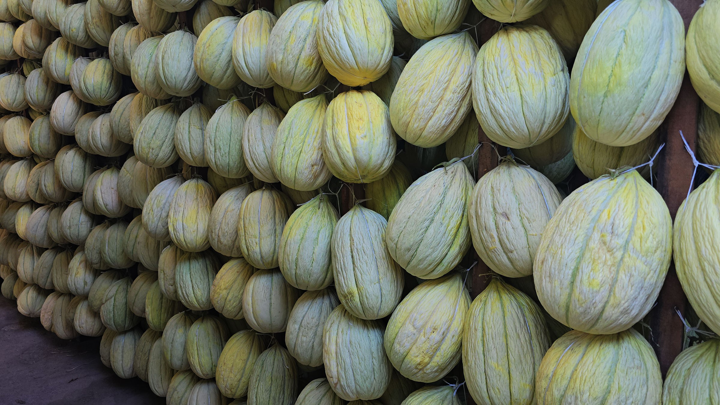 Klimalı Ve Ozon Makineli Depolarda Bekletiliyor (5)