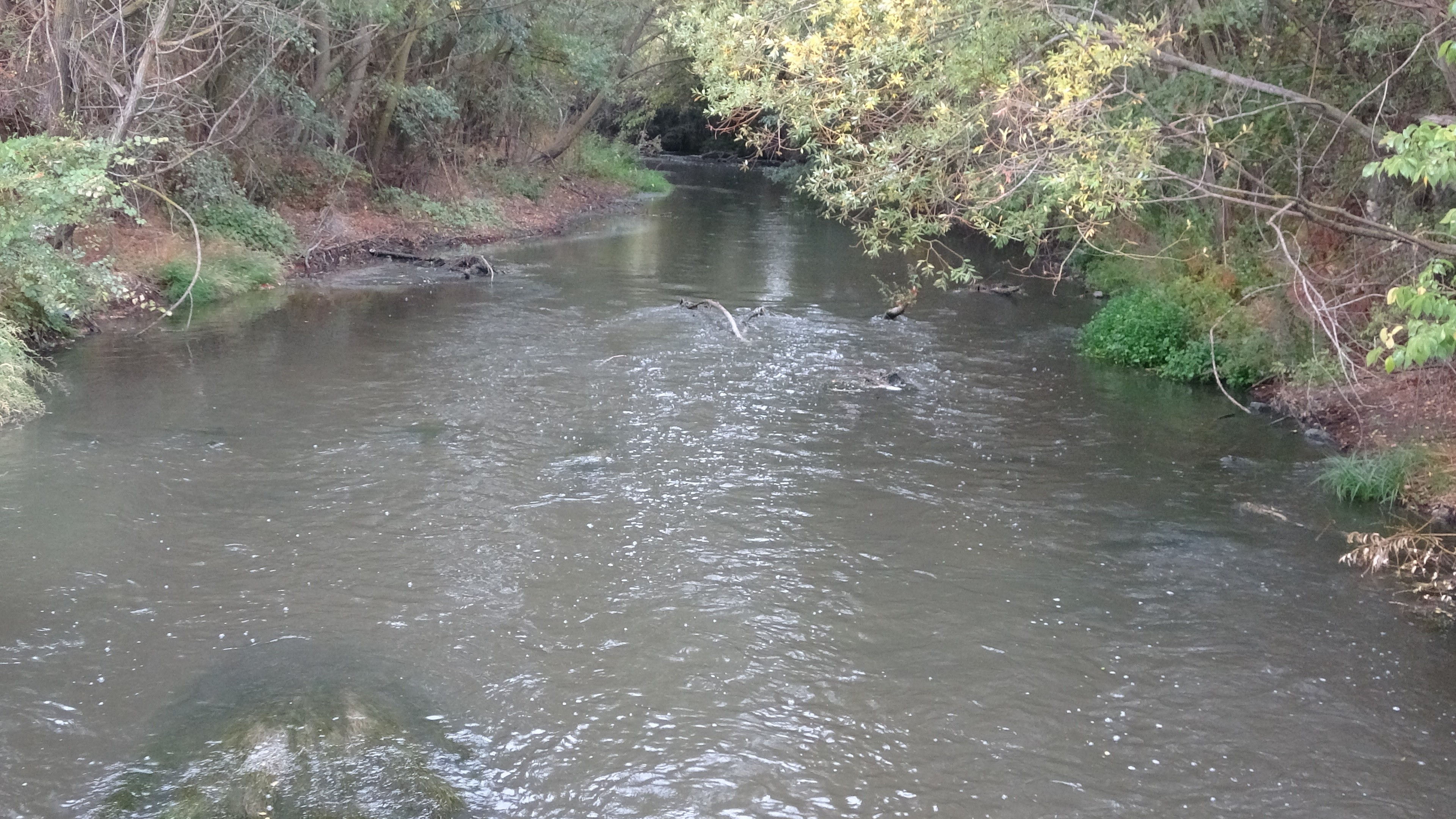 Köylüler Isyan Etti (7)