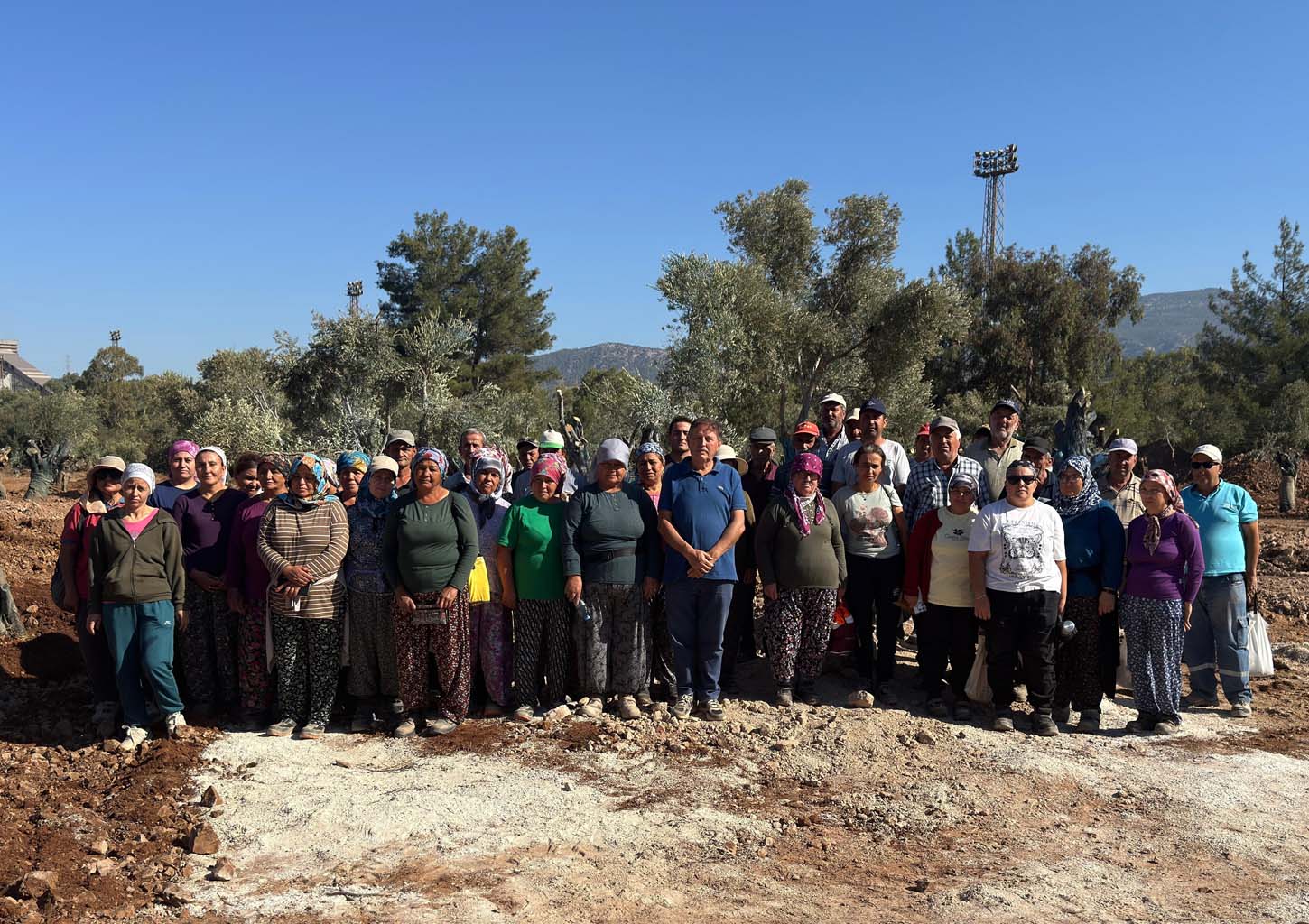 Köylülerden Taşınan Zeytinlere Ziyaret (2)