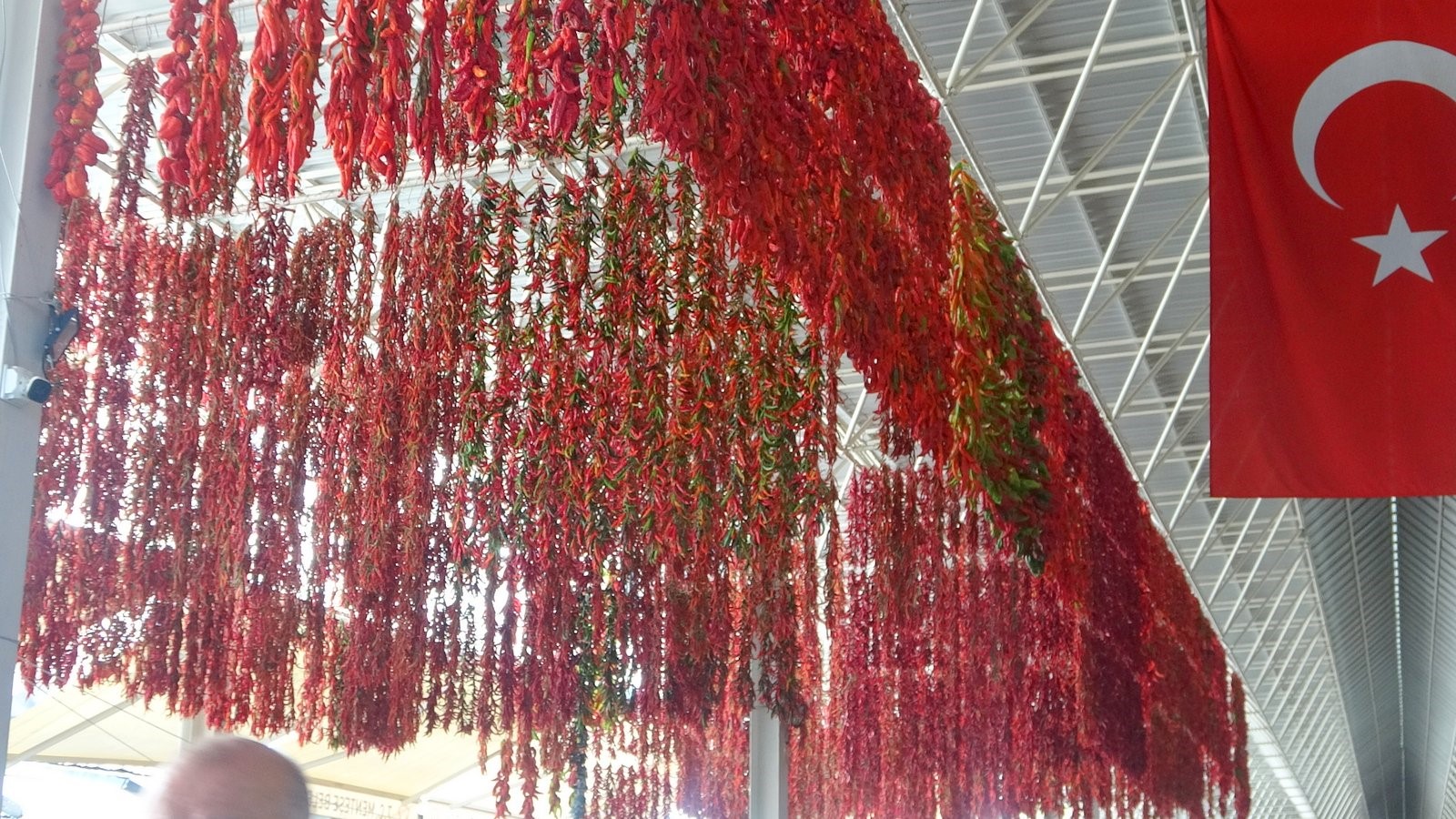 Kurutmalıklar Yola Çıkıyor (3)