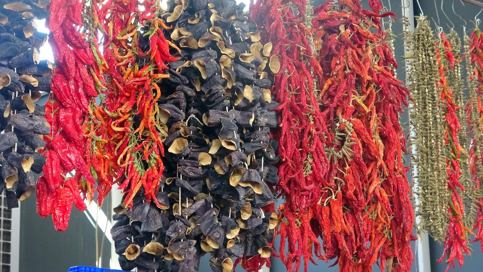 Kurutmalıklar Yola Çıkıyor (5)