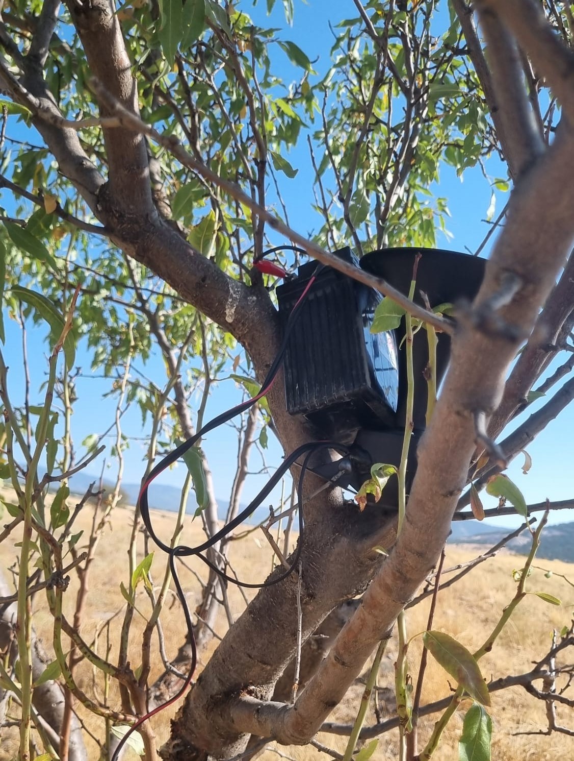 Ormanda Ses Düzeneğiyle Yakalandı (3)