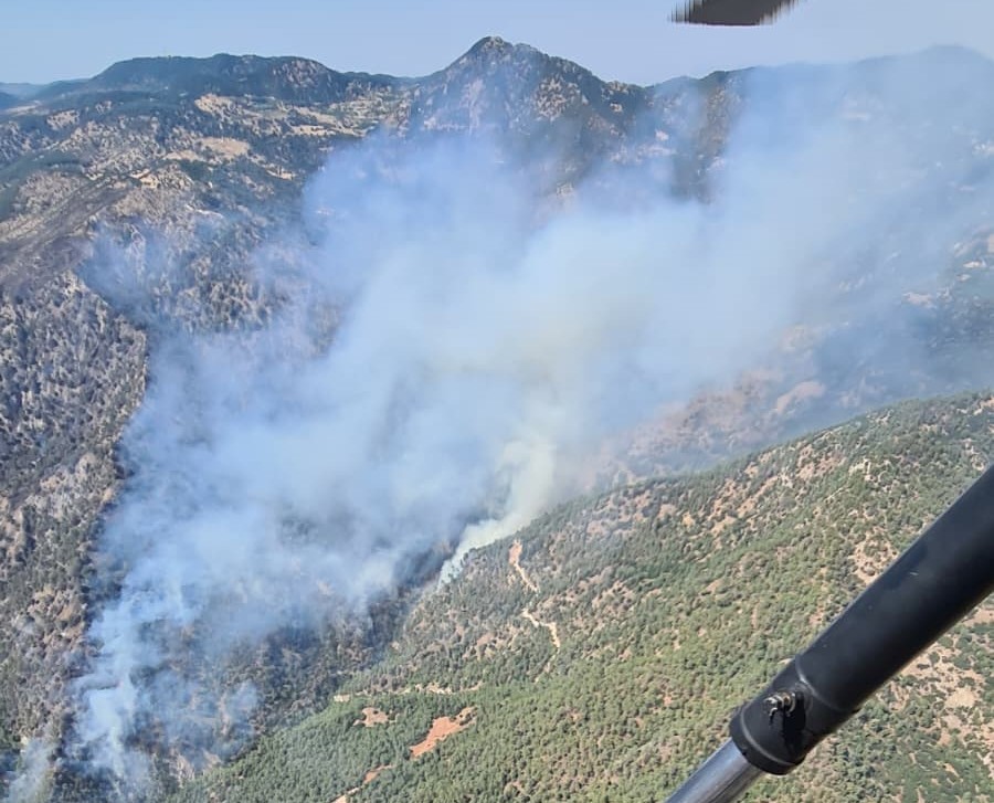 Ormanı Yakan 3 Kişi Yakalandı