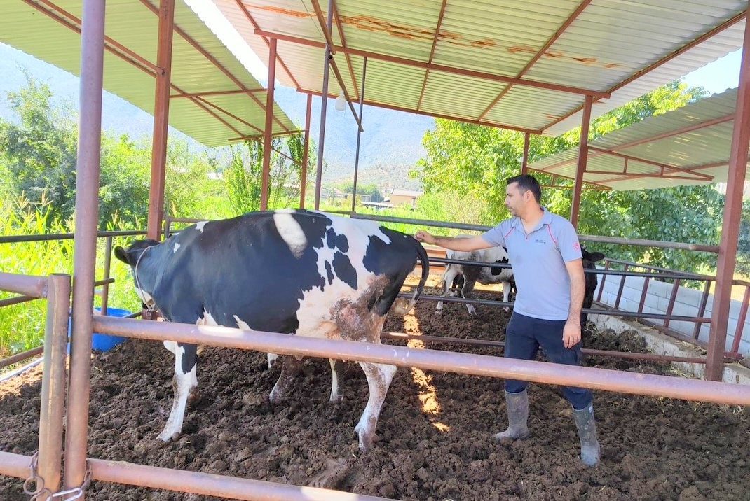 Şap Hastalığı Alarmı.. Ekipler Harekete Geçti (3)