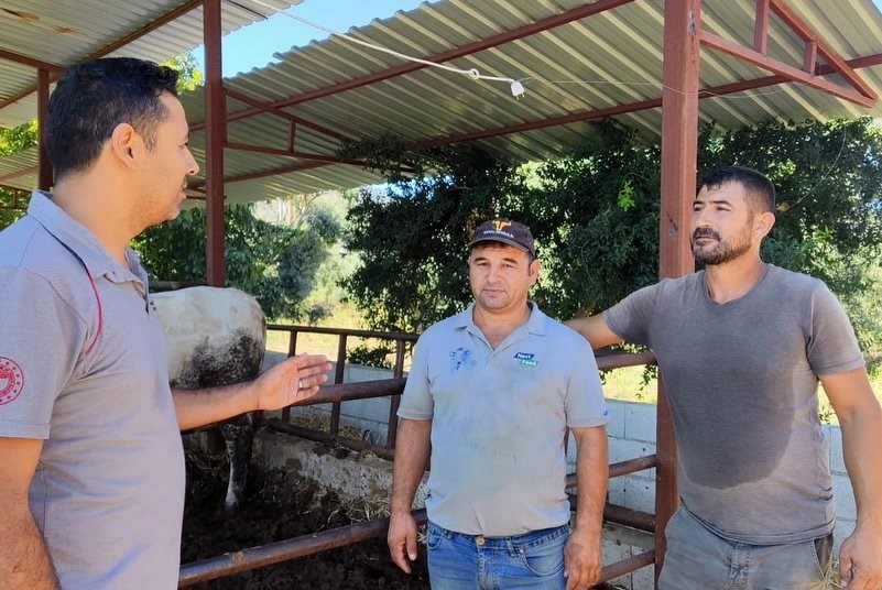 Şap Hastalığı Alarmı.. Ekipler Harekete Geçti (5)
