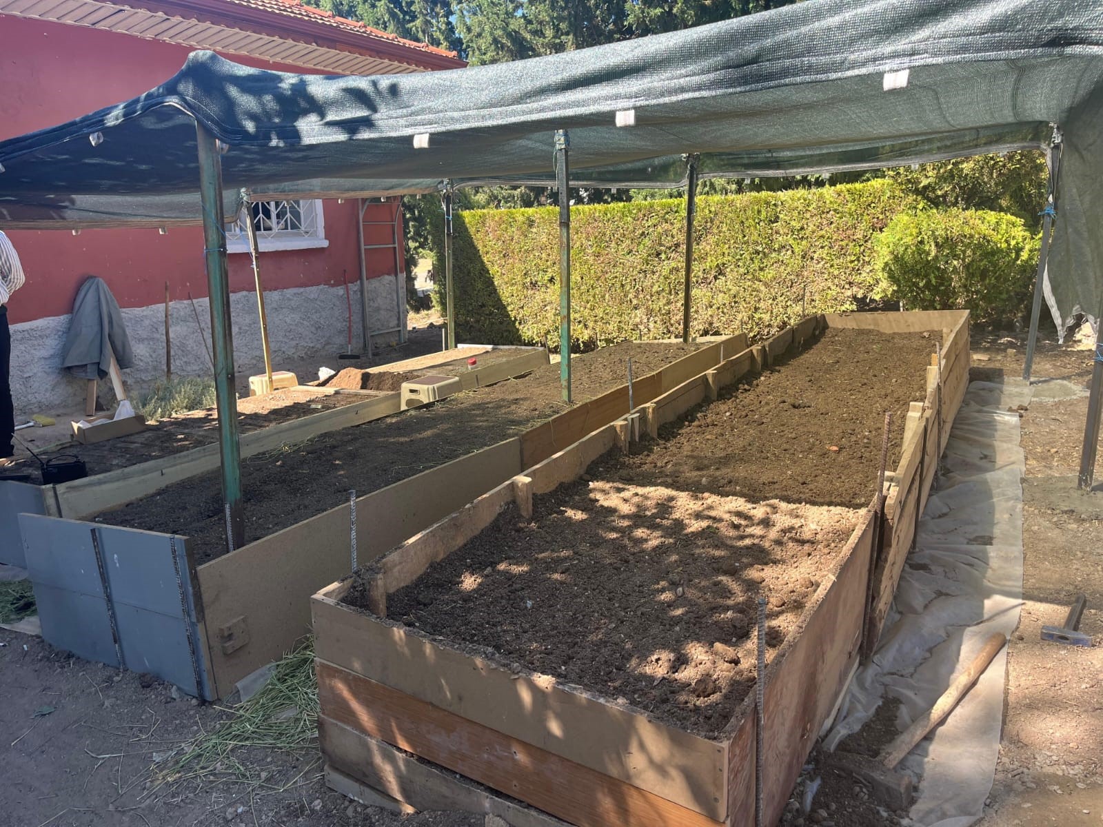 Sezonun Ilk Salep Ekimi Yapıldı (3)