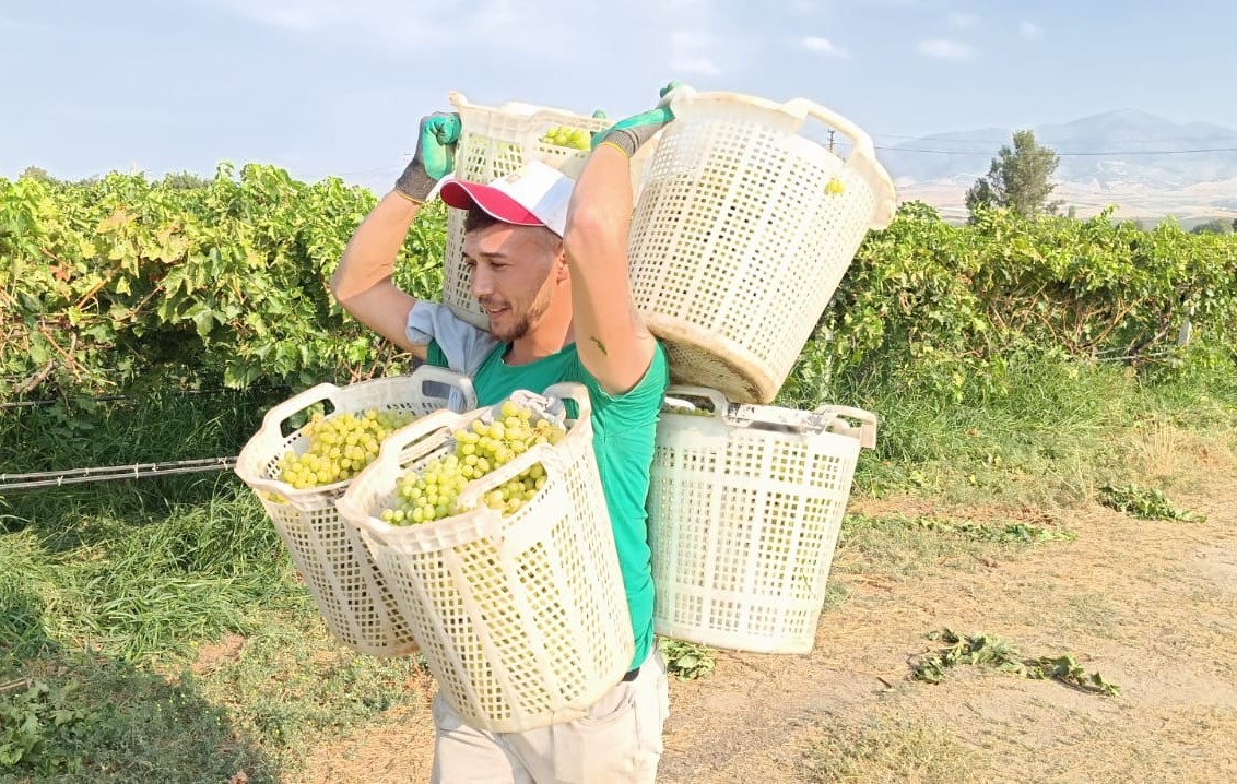 Tarlanın Herkül’ü 120 Kilo Taşıdı