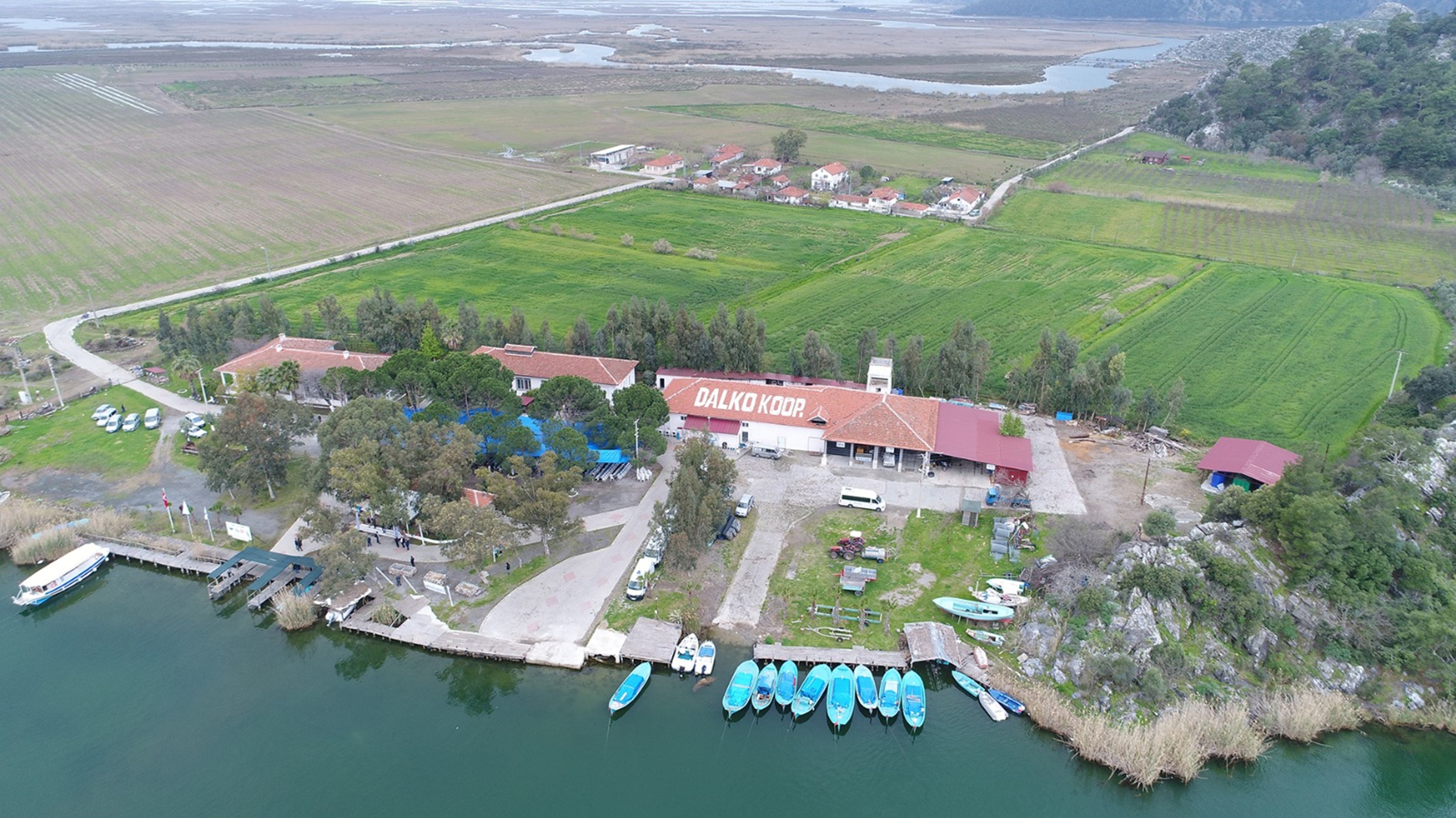 Tonlarca Balık Telef Oldu (4)