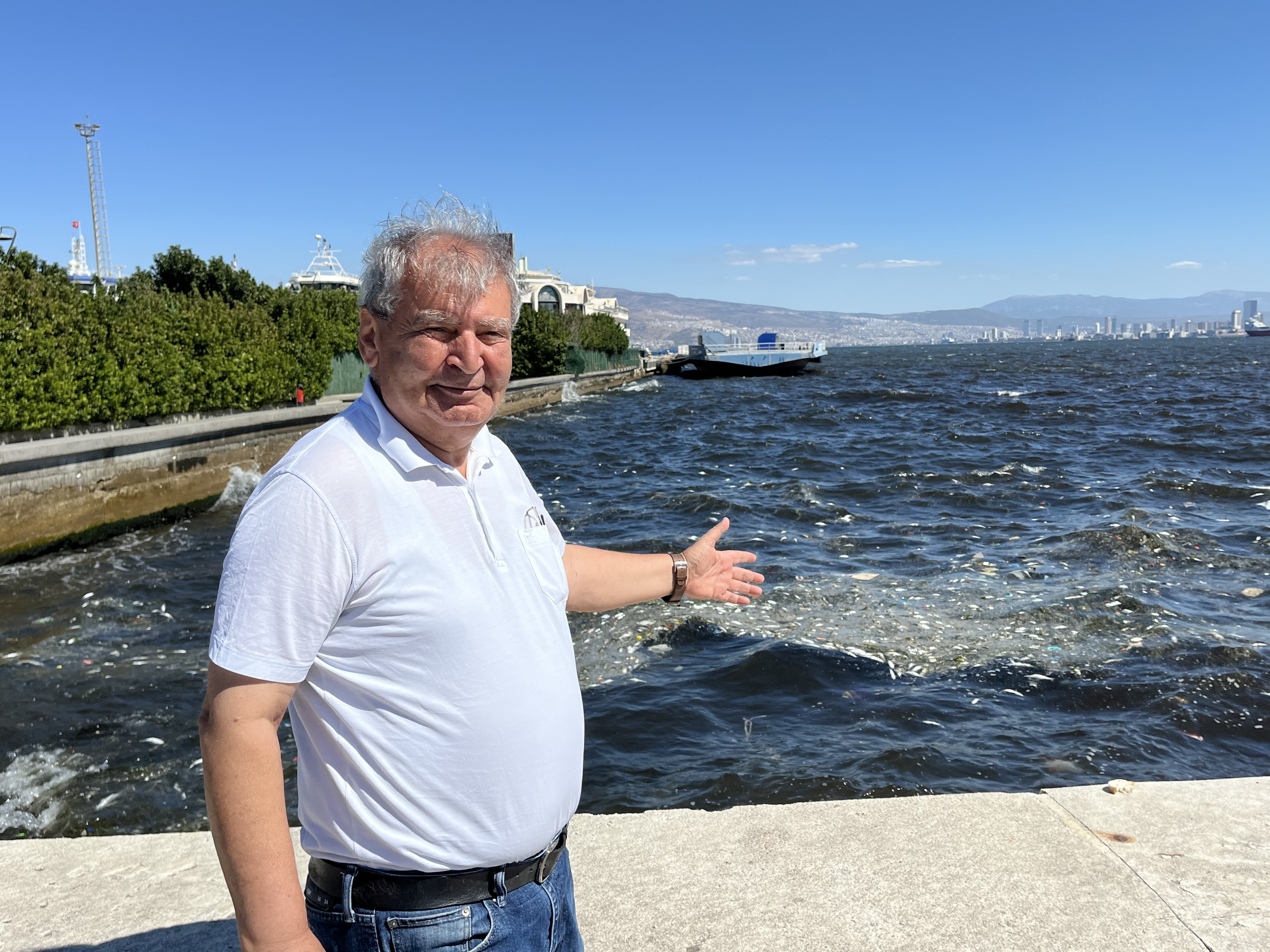 Toplu Balık Ölümleri Başladı (2)