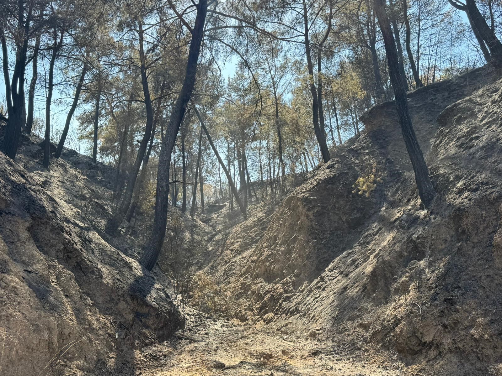 Yangın Bölgesinden Bir Kötü Haber Daha (2)
