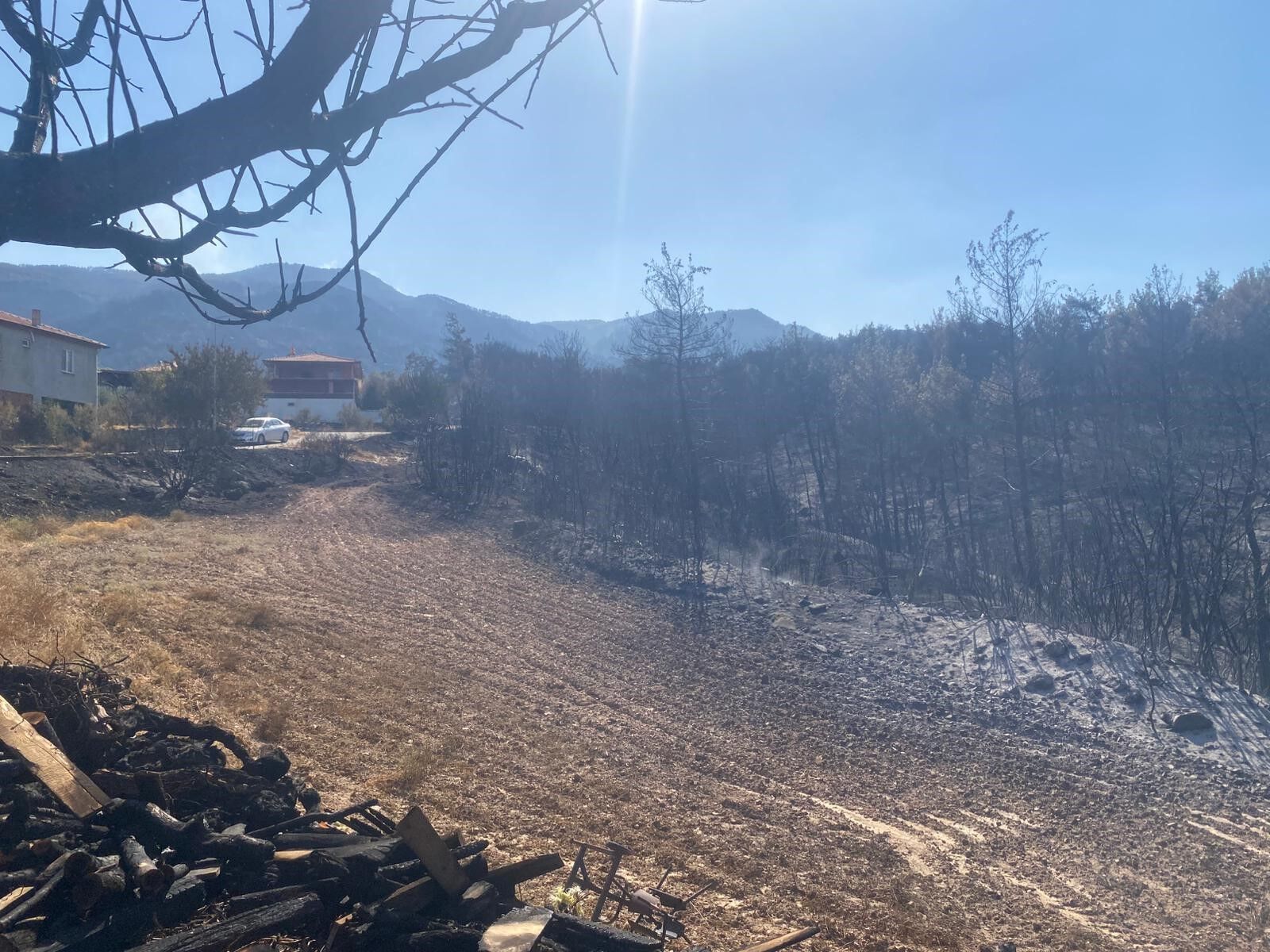 Yangın Bölgesinden Bir Kötü Haber Daha (4)